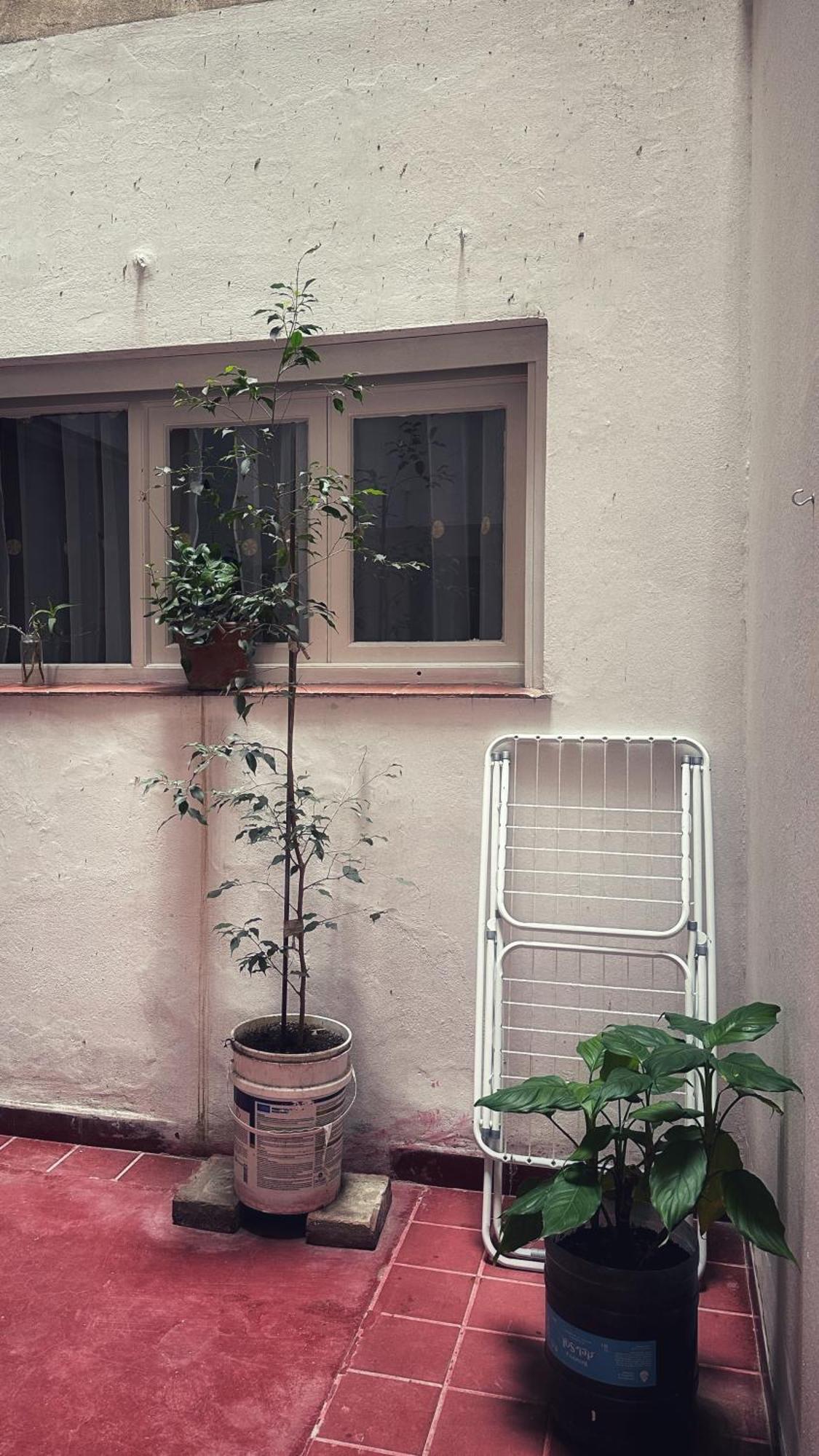 El Oasis Apartment Mendoza